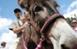 L Burro I L Gueiteiro