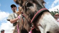 L Burro I L Gueiteiro