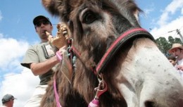 L Burro I L Gueiteiro