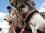 L Burro I L Gueiteiro