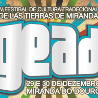 feada2011