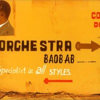 orchestrabaobabspecialist