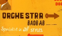 orchestrabaobabspecialist