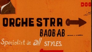 orchestrabaobabspecialist