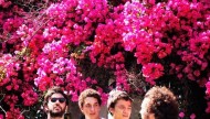 osvelhos